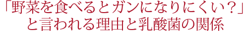 野菜を食べるとガンになりにくい？と言われる理由と乳酸菌の関係