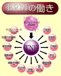 BRMの働き