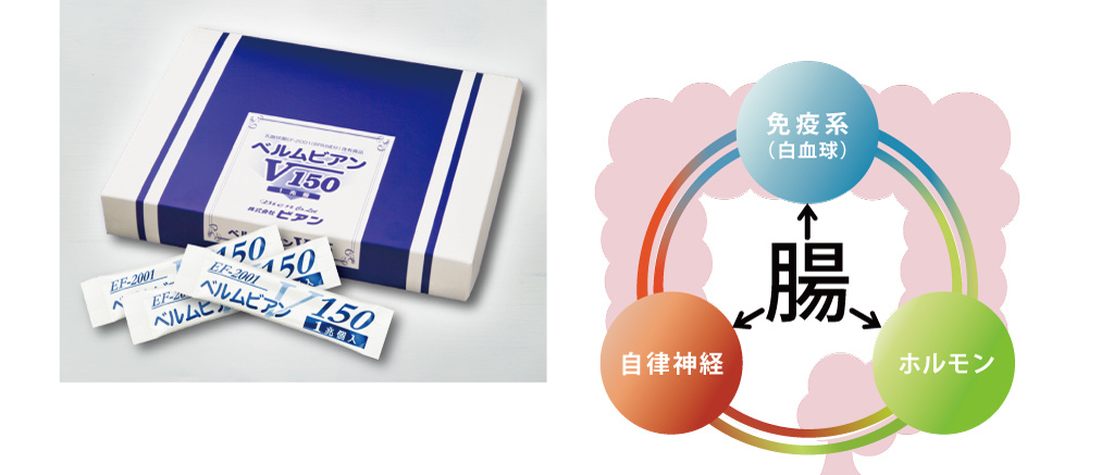 札幌市にある株式会社ビアンは創業38年、免疫乳酸菌にこだわり